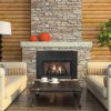 Vent-Free IP 28000 BTU Fireplace Insert - Natural Gas