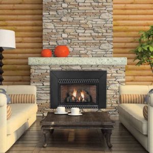 Vent-Free IP 28000 BTU Fireplace Insert - Natural Gas