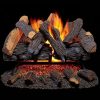 Vented Natural Gas Fireplace Log Set 2