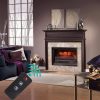 ZOKOP 23" Electric Fireplace Log Insert Heater with Ember Bed & Remote Controller, Black 19